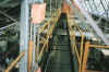 Raised Walkways